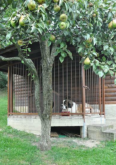 Садиба У Крайлюків Γιαρέμτσε Εξωτερικό φωτογραφία